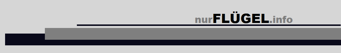 Logo nurfl&uuml;gel.info