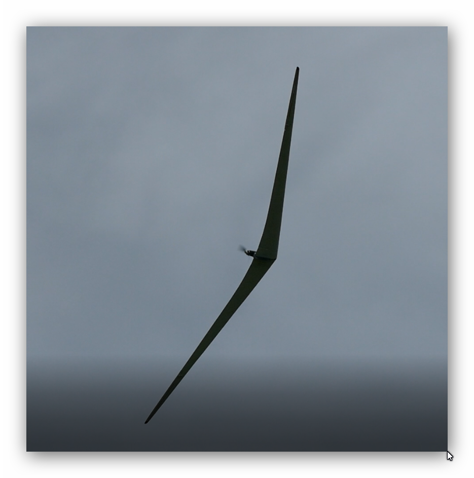 Die Horten VI fliegt