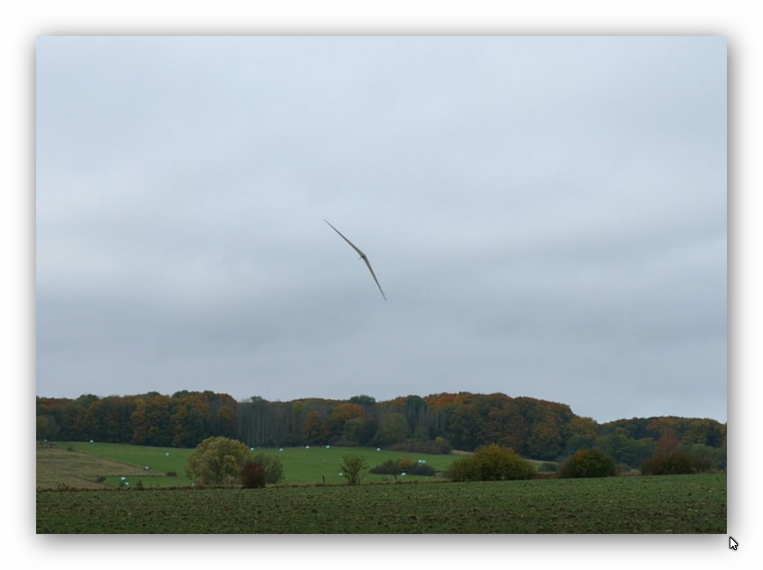 Die Horten VI fliegt
