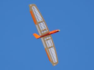 Brett Nurfl&uuml;gel