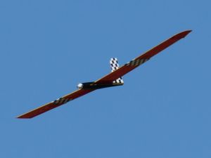 Brett Nurfl&uuml;gel