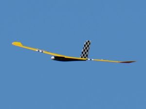 Brett Nurfl&uuml;gel