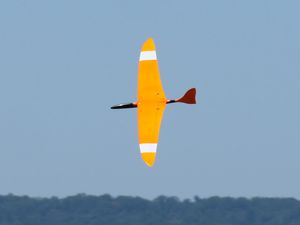 Brett Nurfl&uuml;gel