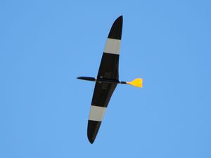 Brett Nurfl&uuml;gel