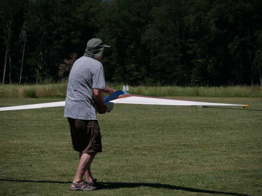 gro&szlig;er Nurfl&uuml;gel