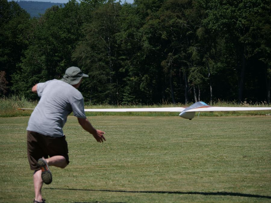 gro&szlig;er Nurfl&uuml;gel