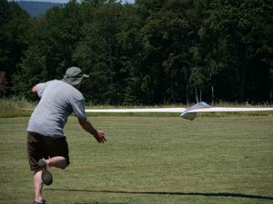 gro&szlig;er Nurfl&uuml;gel