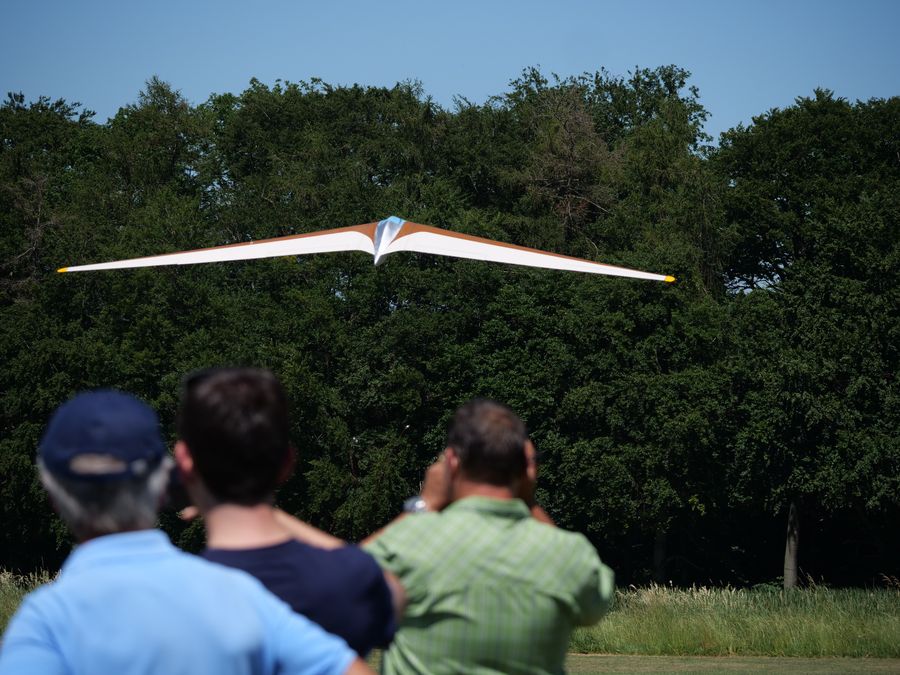 gro&szlig;er Nurfl&uuml;gel