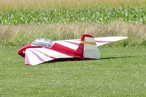 SZD-6x Nietoperz gelandet